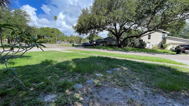 8211 Diagonal Rd N, Saint Petersburg, FL 33702 - photo 4