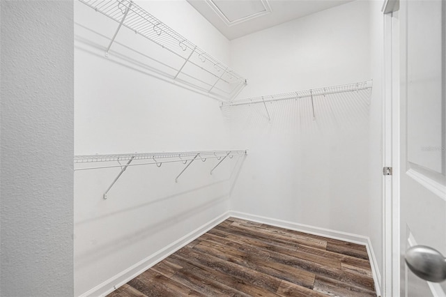 12322 Eagle Swoop Pl, Riverview, FL 33579 - walk in closet featuring dark wood-style floors