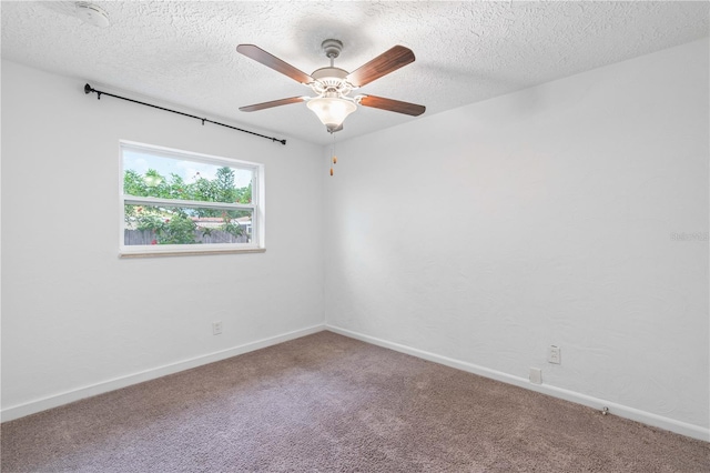 3909 W Lemon St, Tampa, FL 33609 - photo 17