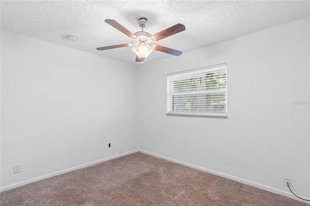 3909 W Lemon St, Tampa, FL 33609 - photo 18