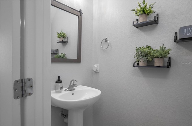 3921 SW 51st Ter, Ocala, FL 34474 - view of bathroom