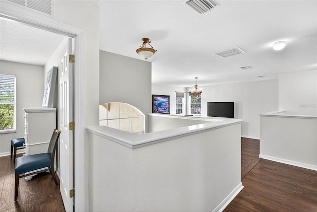 19028 Narimore Dr, Land O Lakes, FL 34638 - corridor with dark wood-style floors, a chandelier, and an upstairs landing