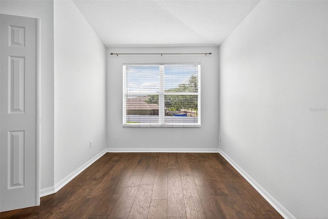 19028 Narimore Dr, Land O Lakes, FL 34638 - spare room featuring dark wood-style flooring and baseboards