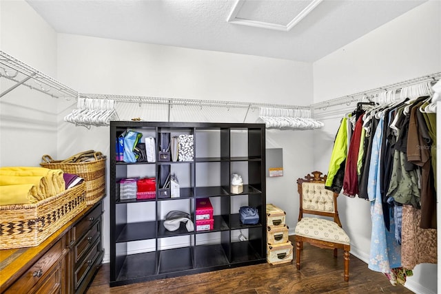 19028 Narimore Dr, Land O Lakes, FL 34638 - walk in closet with wood finished floors and attic access