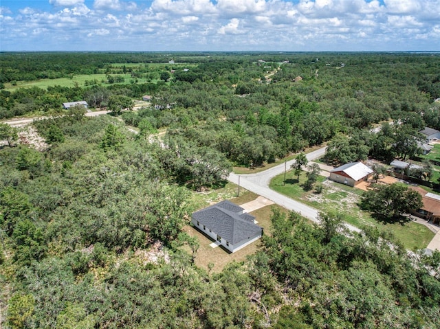 3211 W Oneida Rd, Avon Park, FL 33825 - photo 14
