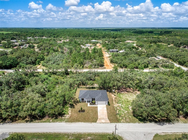 3211 W Oneida Rd, Avon Park, FL 33825 - photo 16