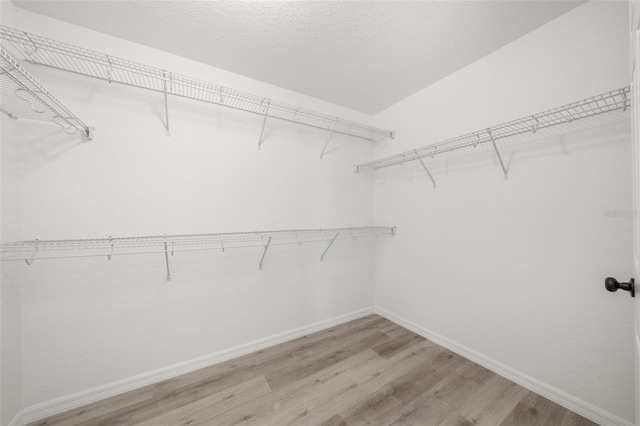 3211 W Oneida Rd, Avon Park, FL 33825 - photo 31
