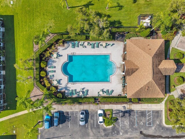 1302 Twilridge Pl, Brandon, FL 33511 - drone / aerial view of a pool