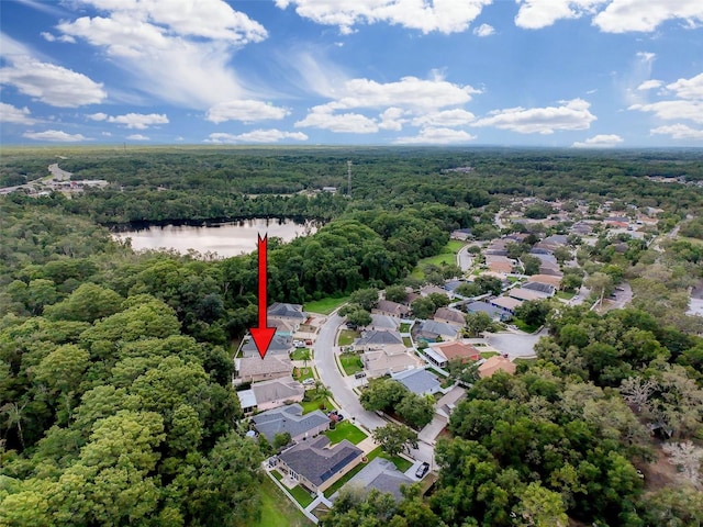 12200 Hunters Lake Dr, New Port Richey, FL 34654 - aerial overview of property's location featuring a forest and a large body of water