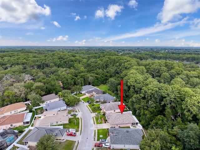 12200 Hunters Lake Dr, New Port Richey, FL 34654 - aerial perspective of suburban area with a forest