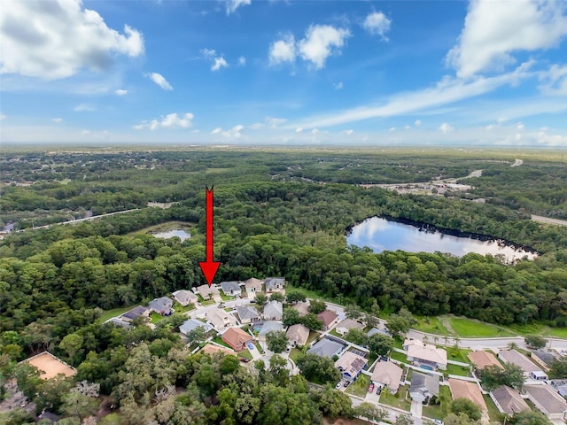 12200 Hunters Lake Dr, New Port Richey, FL 34654 - aerial perspective of suburban area featuring a heavily wooded area and a large body of water