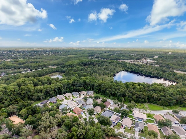 12200 Hunters Lake Dr, New Port Richey, FL 34654 - view of property location with a large body of water and nearby suburban area