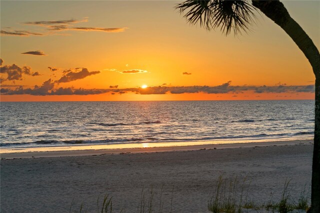 20060 Gulf Blvd, Indian Shores, FL 33785 - photo 77