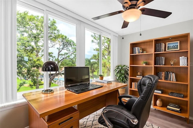 4705 1st St NE Unit 337, Saint Petersburg, FL 33703 - photo 8
