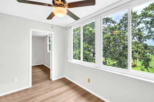4705 1st St NE Unit 337, Saint Petersburg, FL 33703 - photo 9