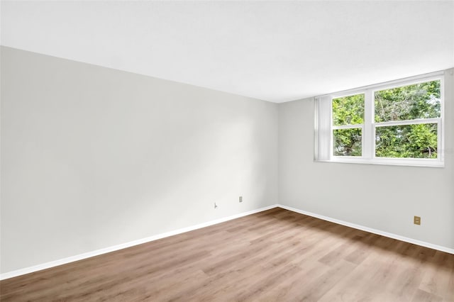 4705 1st St NE Unit 337, Saint Petersburg, FL 33703 - photo 12