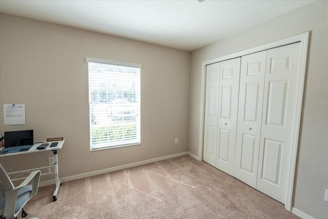 5051 Cactus Needle Ln, Wesley Chapel, FL 33544 - photo 22