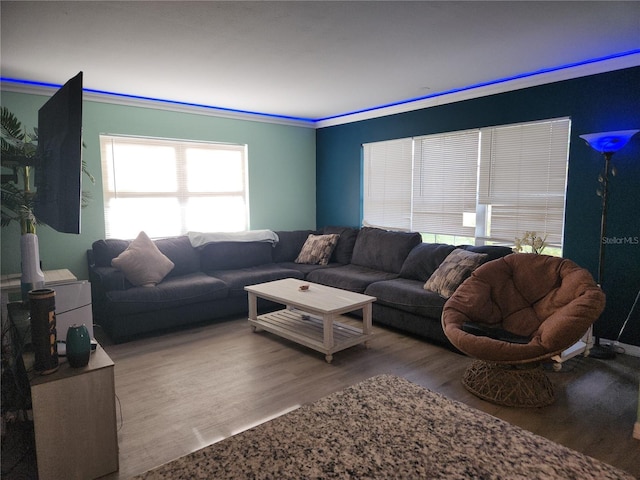 310 4th Ave SW, Ruskin, FL 33570 - living area featuring wood finished floors