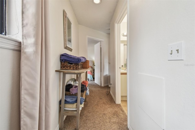 6262 142nd Ave N Unit 1302, Clearwater, FL 33760 - corridor featuring light colored carpet and baseboards