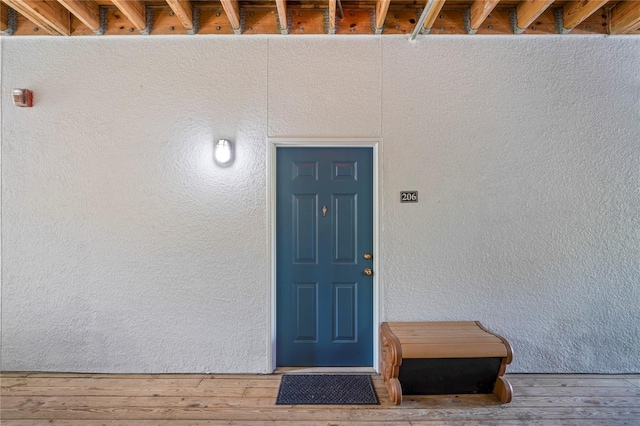 1640 Villa Capri Cir Unit 206, Odessa, FL 33556 - doorway to property with stucco siding