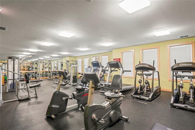1640 Villa Capri Cir Unit 206, Odessa, FL 33556 - view of gym