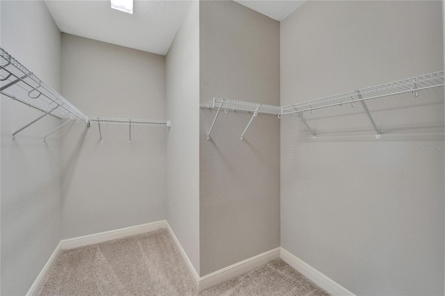 7408 Sungold Meadow Ct, Apollo Beach, FL 33572 - photo 12