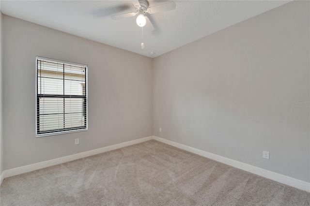 7408 Sungold Meadow Ct, Apollo Beach, FL 33572 - photo 19