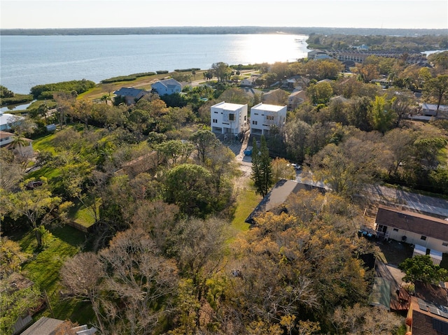 503 Federal St, Oldsmar, FL 34677 - photo 3