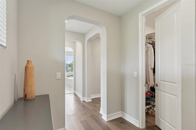 2903 Cordoba Ranch Blvd, Lutz, FL 33559 - hallway featuring wood finished floors and arched walkways