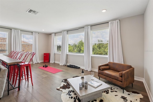2903 Cordoba Ranch Blvd, Lutz, FL 33559 - living room with wood finished floors and recessed lighting