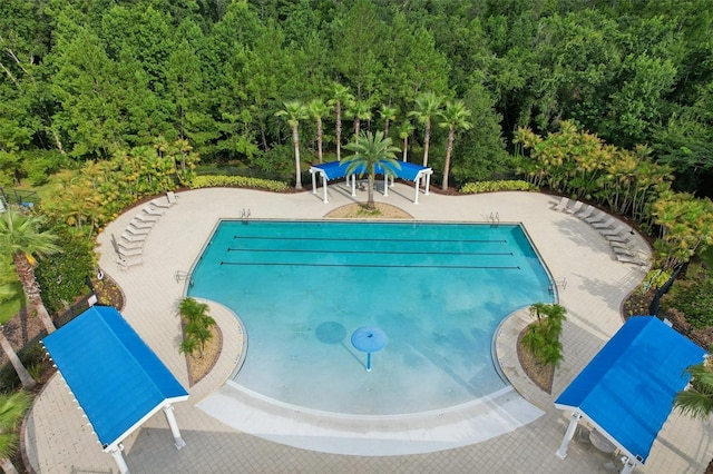 2903 Cordoba Ranch Blvd, Lutz, FL 33559 - community pool featuring a wooded view