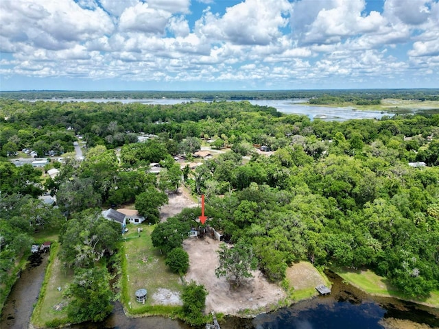 2931 N Wheaton Pt, Hernando, FL 34442 - aerial overview of property's location featuring a large body of water and a heavily wooded area