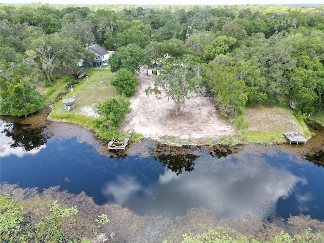 2931 N Wheaton Pt, Hernando, FL 34442 - view of property location with a heavily wooded area and a nearby body of water