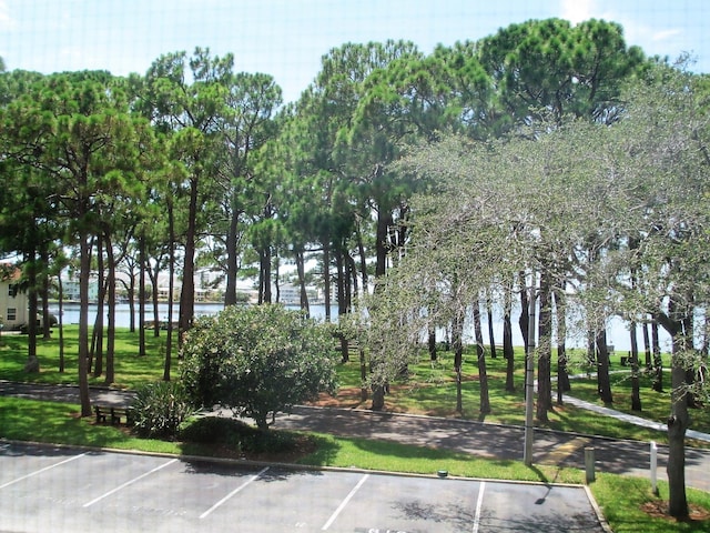 2700 Bayshore Blvd Unit 6210, Dunedin, FL 34698 - uncovered parking lot with a water view