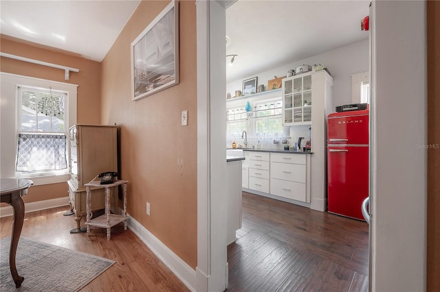 917 W Idlewild Ave, Tampa, FL 33604 - corridor with dark wood finished floors and plenty of natural light