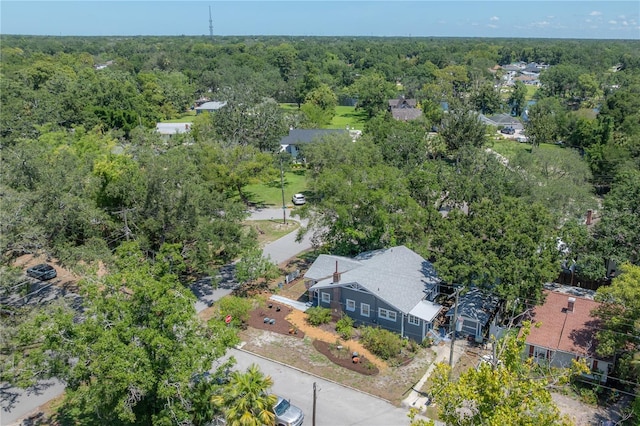 917 W Idlewild Ave, Tampa, FL 33604 - aerial view of a forest