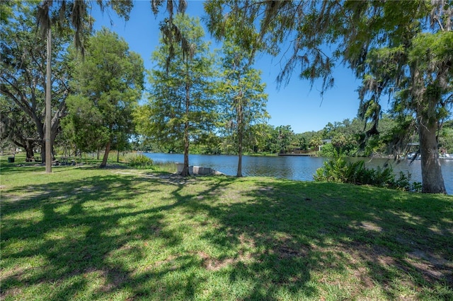 917 W Idlewild Ave, Tampa, FL 33604 - view of green lawn with a water view