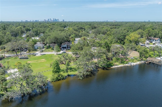 917 W Idlewild Ave, Tampa, FL 33604 - view of property location with a nearby body of water