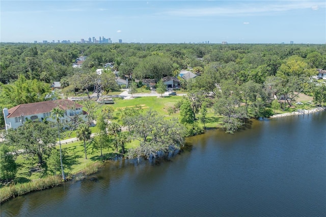917 W Idlewild Ave, Tampa, FL 33604 - view of property location with a large body of water and a forest