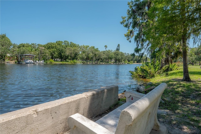 917 W Idlewild Ave, Tampa, FL 33604 - water view