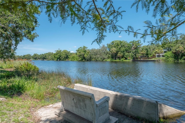 917 W Idlewild Ave, Tampa, FL 33604 - water view