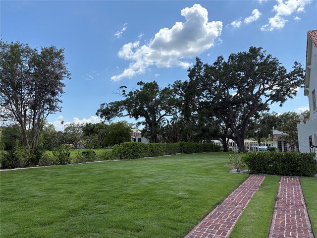 418 Blanca Ave, Tampa, FL 33606 - photo 8