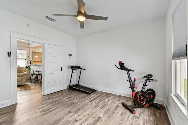 904 E Hamilton Ave, Tampa, FL 33604 - photo 15