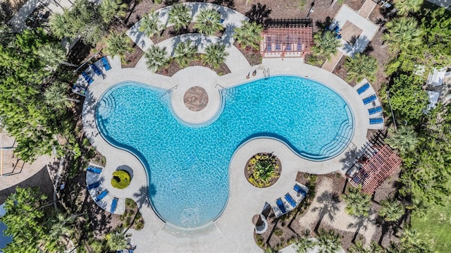 15420 Quail Woods Pl, Ruskin, FL 33573 - view of swimming pool