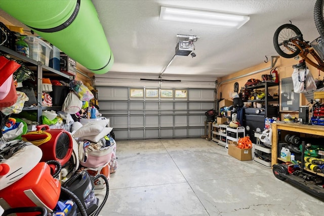 9831 Edmonton Dr, Land O Lakes, FL 34638 - garage featuring a garage door opener