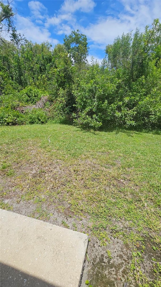 6231 Olivedale Dr, Riverview, FL 33578 - photo 30