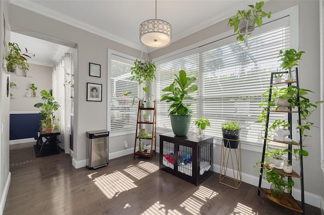 4147 Grandchamp Cir, Palm Harbor, FL 34685 - office space featuring dark wood-style flooring and ornamental molding
