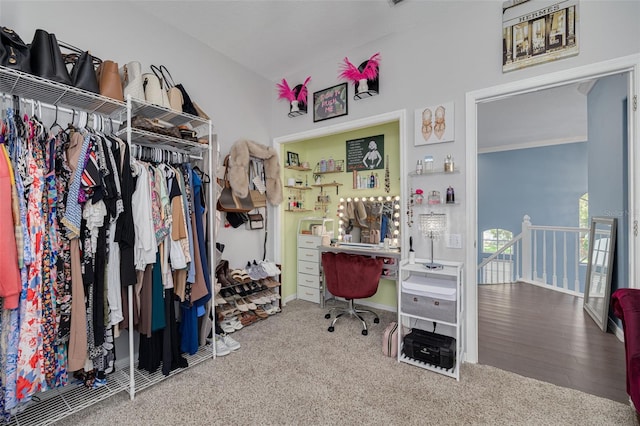 4147 Grandchamp Cir, Palm Harbor, FL 34685 - spacious closet featuring carpet