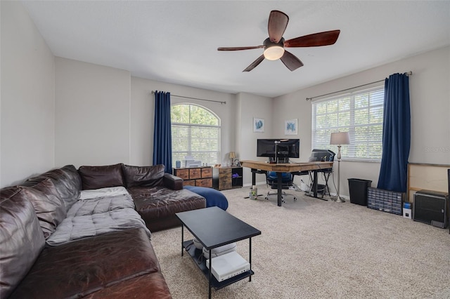 4147 Grandchamp Cir, Palm Harbor, FL 34685 - office featuring a ceiling fan and carpet flooring