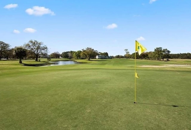 4147 Grandchamp Cir, Palm Harbor, FL 34685 - view of community with a water view, view of golf course, a yard, and a putting green